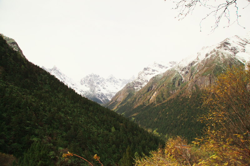 IMG_0260.jpg