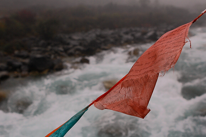 _MG_0286_.jpg