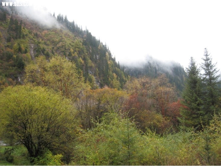 QQͼƬ20131106220940.jpg