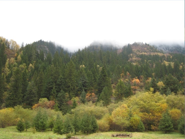 QQͼƬ20131106221404.jpg