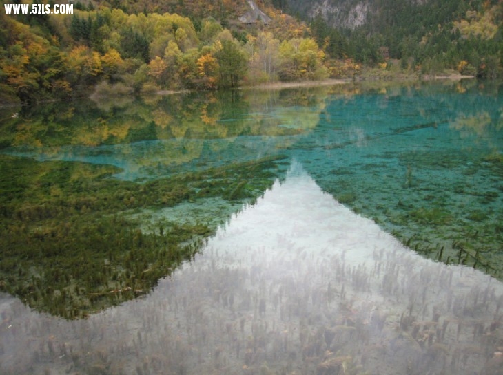 QQͼƬ20131106221515.jpg