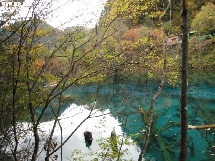 QQͼƬ20131106221705.jpg