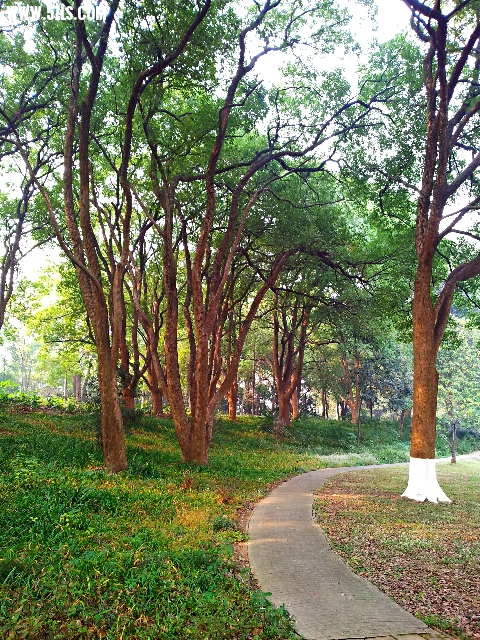 20131109_140630_mh1383997758420.jpg