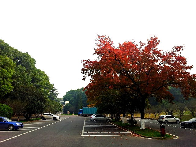 20131109_151240_mh1383997521599.jpg