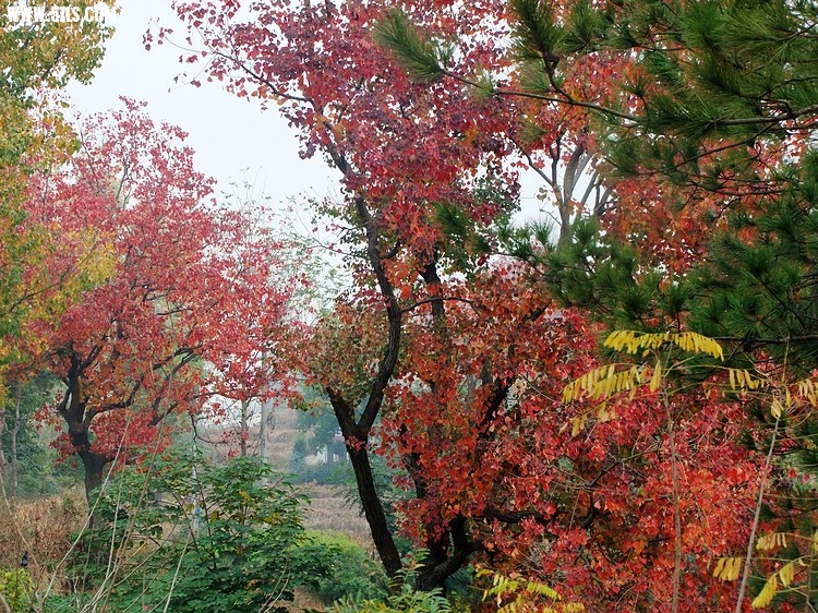 DSCF1907.JPG
