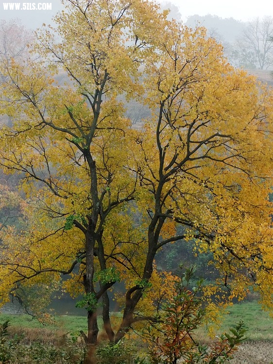 DSCF1995.JPG