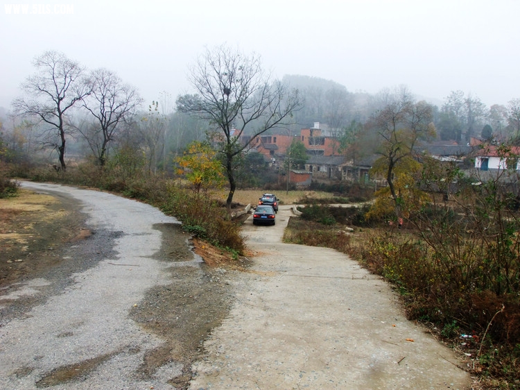 DSCF2037.JPG