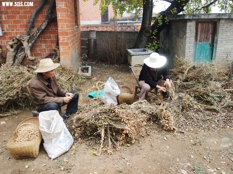 DSCF2052.JPG
