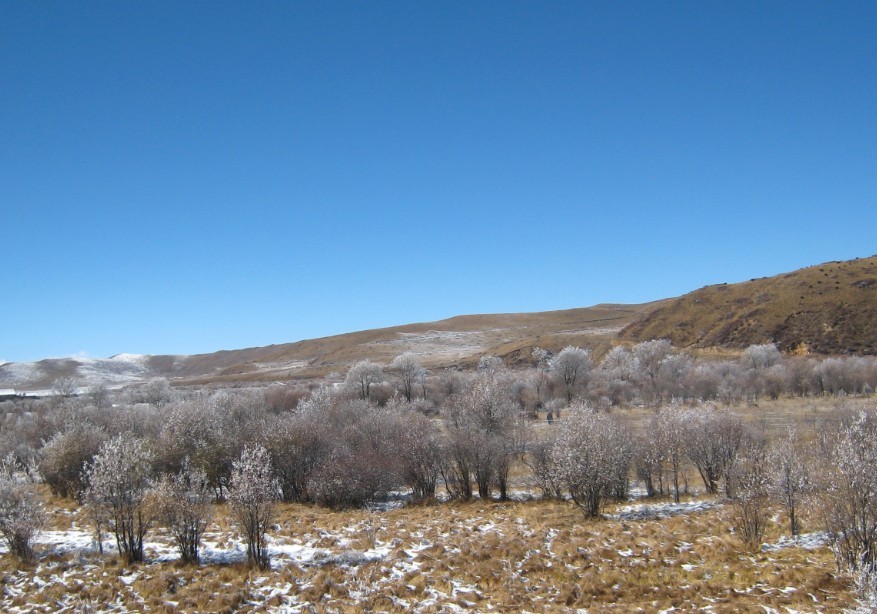 QQͼƬ20131112164857.jpg