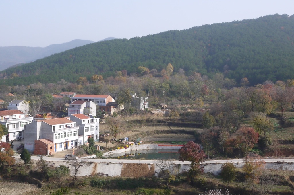 P1150058.JPG