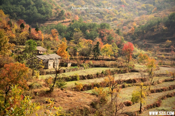 100406yshep2lnzc9sjnp2.jpg