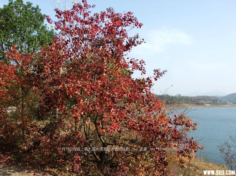 DSCF2424.JPG