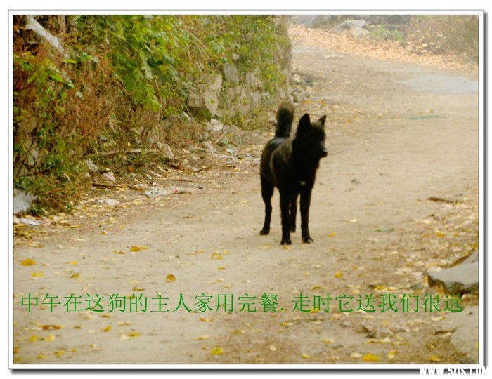 DSCN7062.jpg