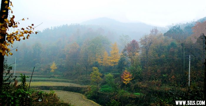 IMG_9754--55JPG_.jpg