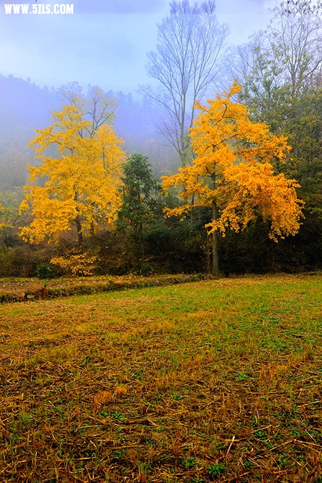 _DSC3876.jpg