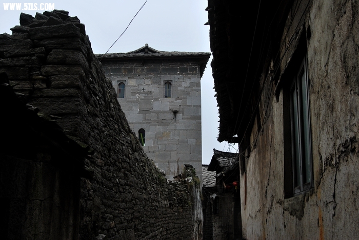 DSC_0234.JPG