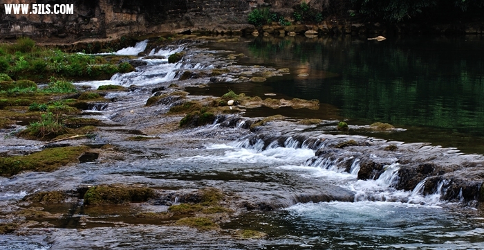 DSC_0334.JPG