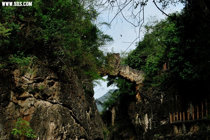 DSC_0400.JPG