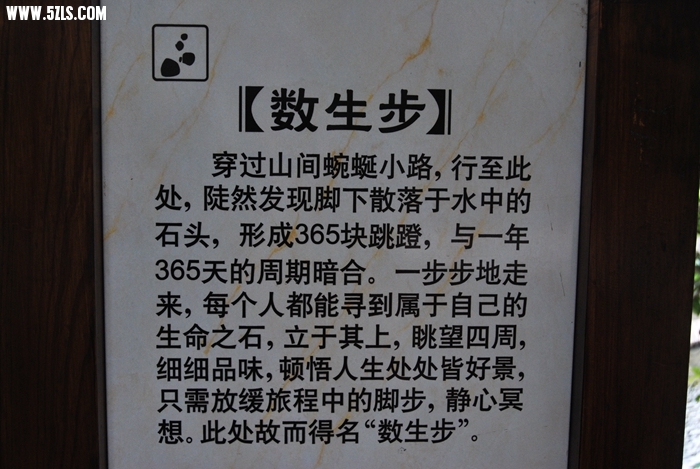 DSC_0336.JPG