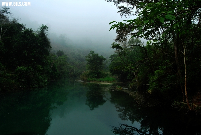 DSC_0602.JPG