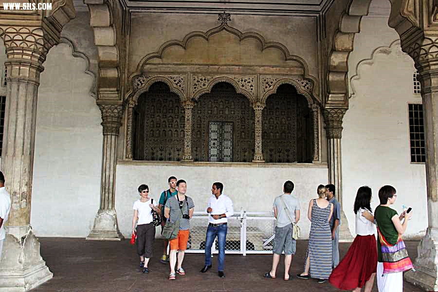 IMG_8782.jpg