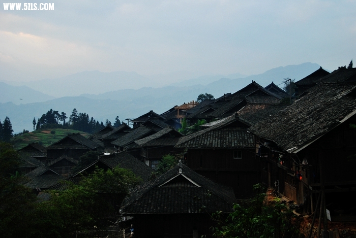 DSC_0719.JPG