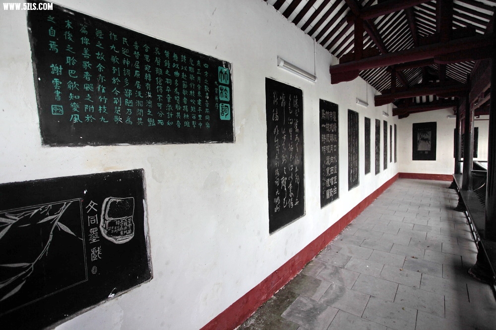 DPP_1493.jpg