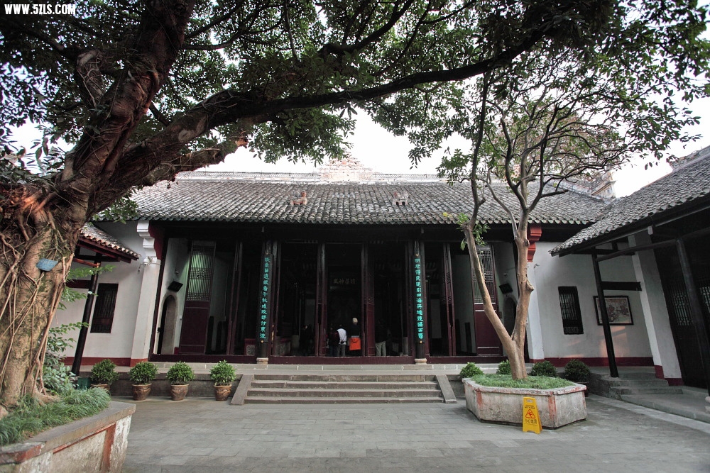 DPP_1495.jpg