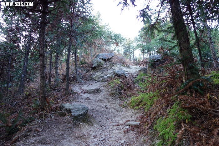 图47  进入只角楼山庄后的登山之路.jpg