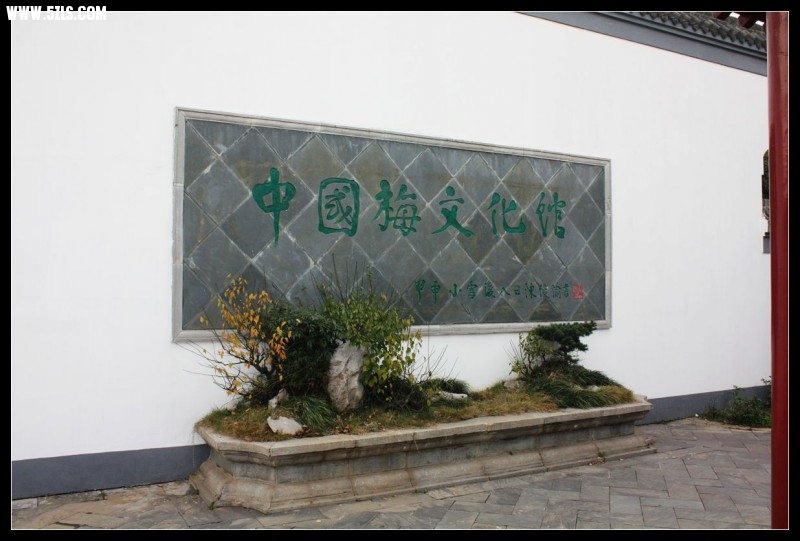 conew_img_4842.jpg