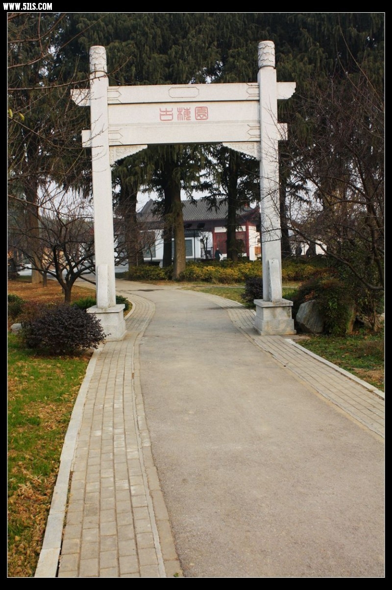 conew_img_4815.jpg