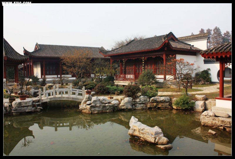 conew_img_4844.jpg