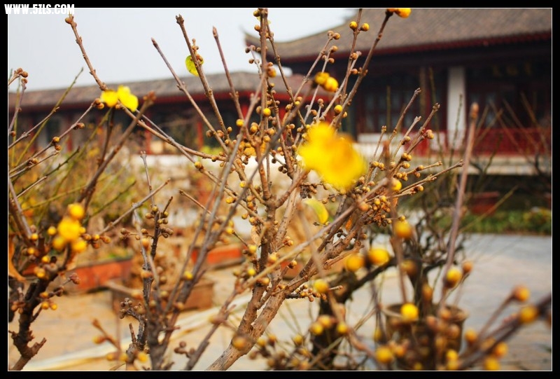 conew_img_4847.jpg