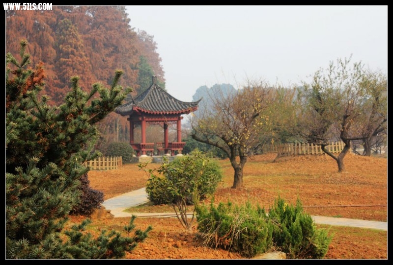 conew_img_4865.jpg