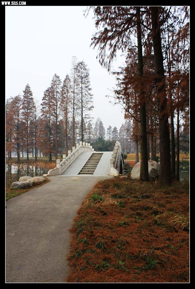conew_img_5158.jpg