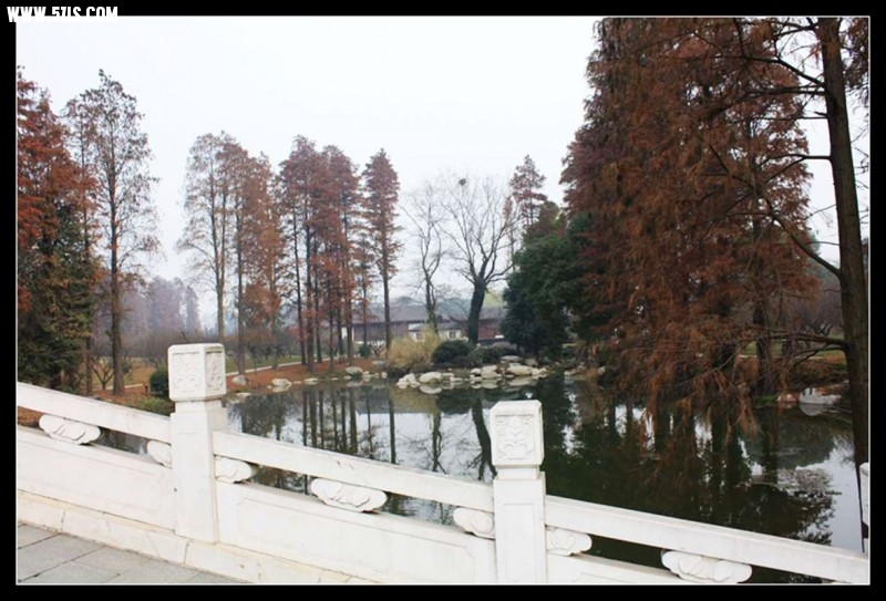 conew_img_5159.jpg