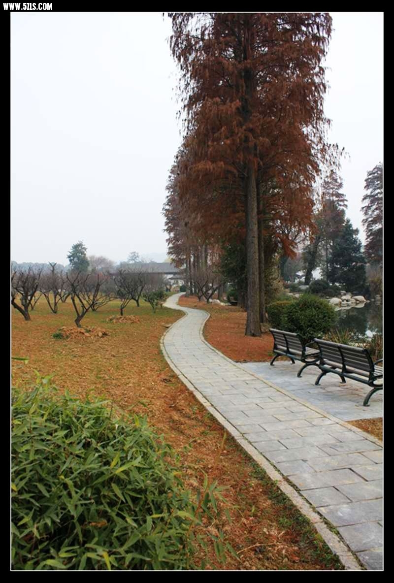 conew_img_5164.jpg