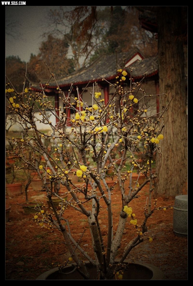 conew_img_5172.jpg