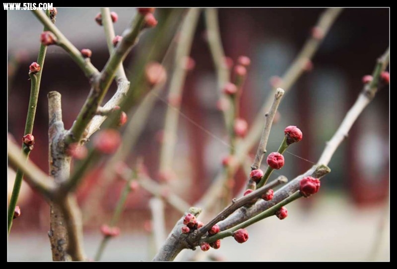 conew_img_5173.jpg
