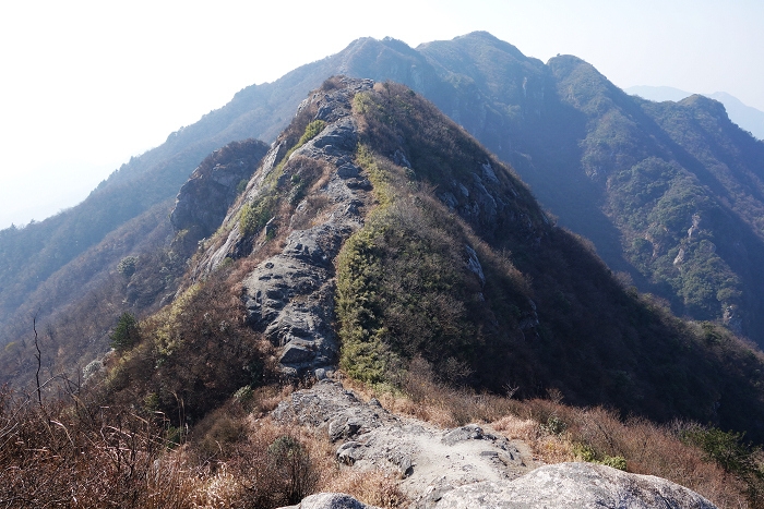 图57   西望从天岳关沿山脊过来之路.jpg