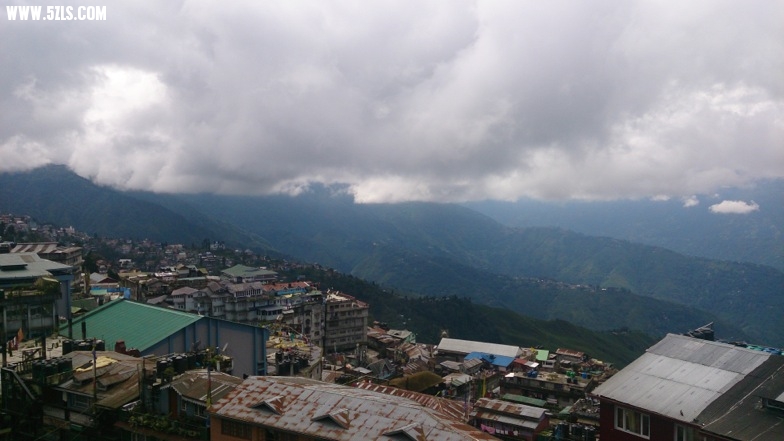 DSC_0314.jpg