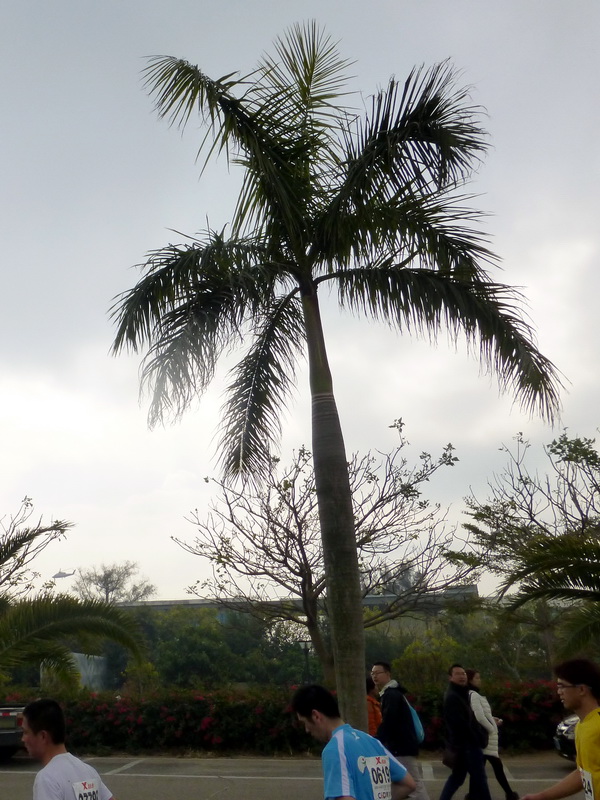 p1160849.jpg