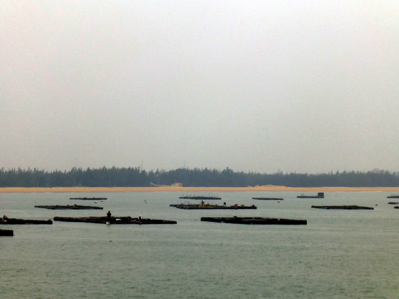 p1160231.jpg