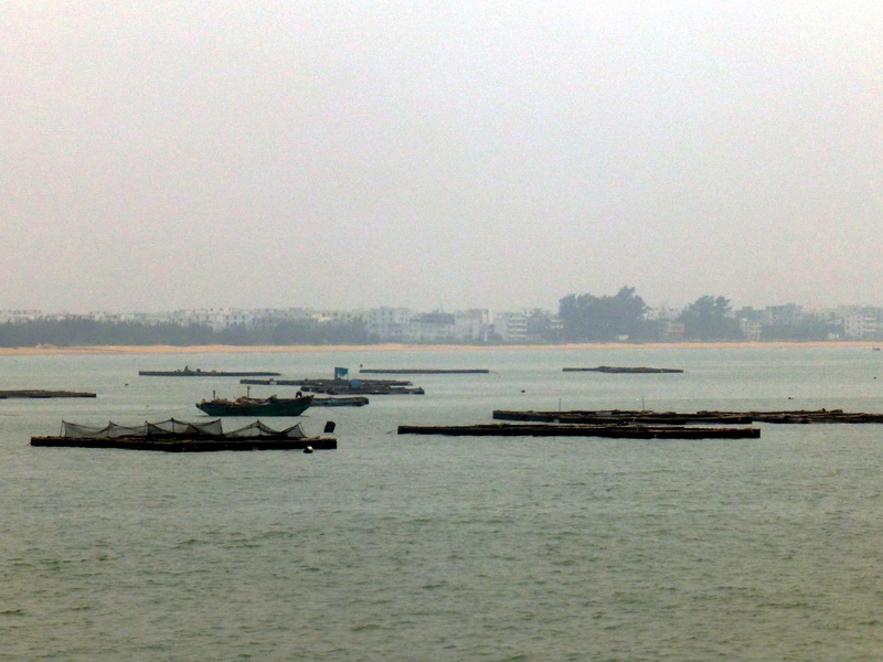 p1160232.jpg