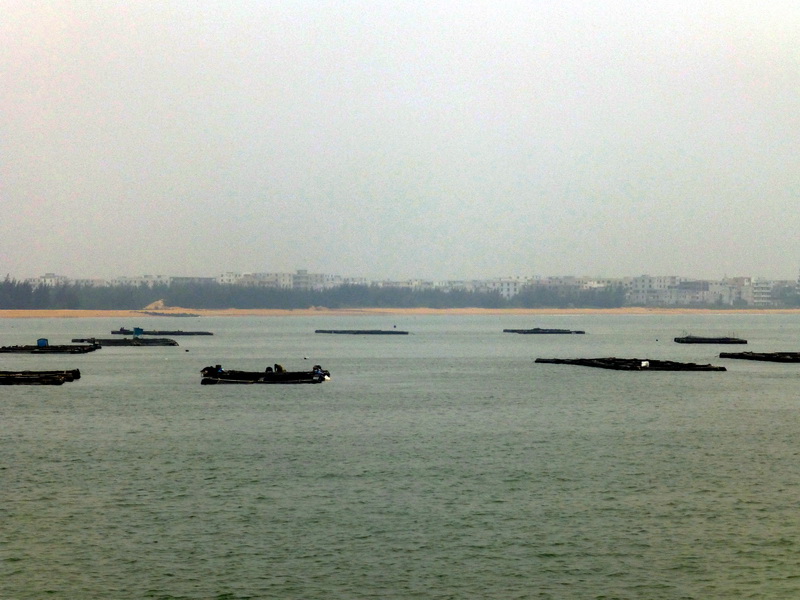 p1160234.jpg