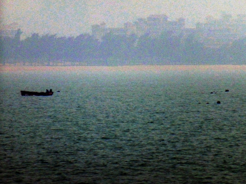 p1160235.jpg
