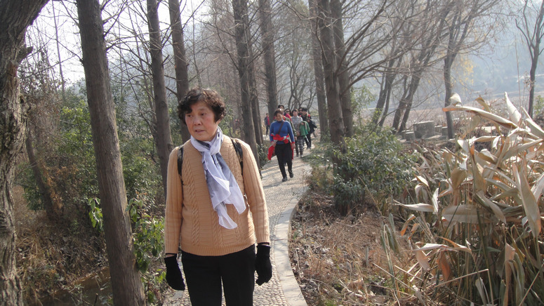 dsc08773.jpg