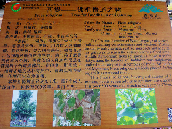 dsc05203.jpg