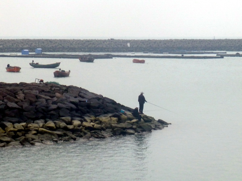 p1160221.jpg
