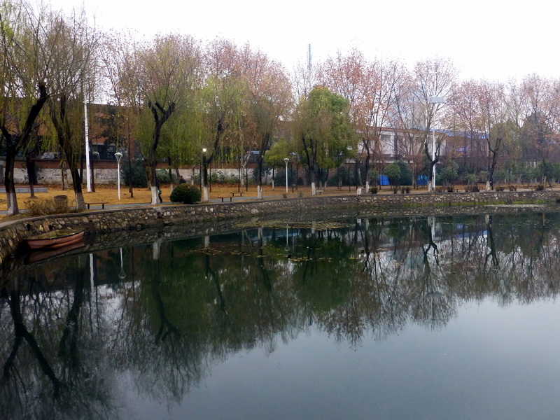 p1160918.jpg